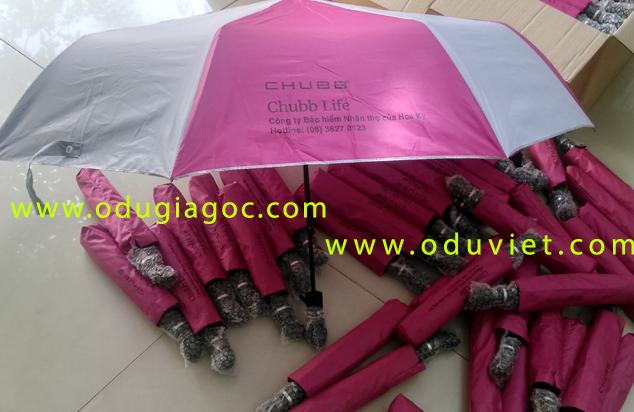 Du-chong-lat-o-chong-lat-du-2-tang-chong-lat-o-2-tang-chong-lat-du-vai-day-o-to-o-to-o-du-chong-lat-o-du-vai-cao-cap-8