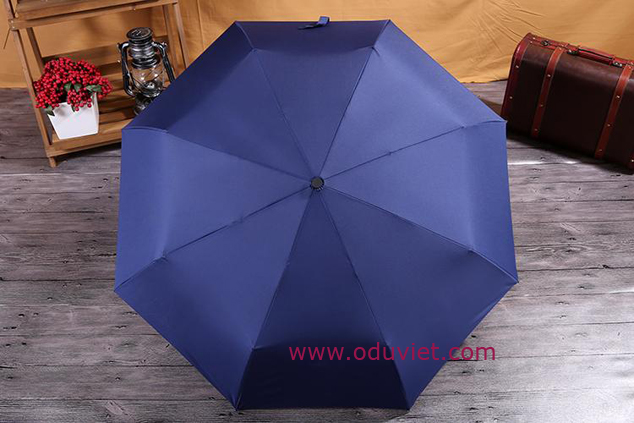ô dù cầm tay xanh navy